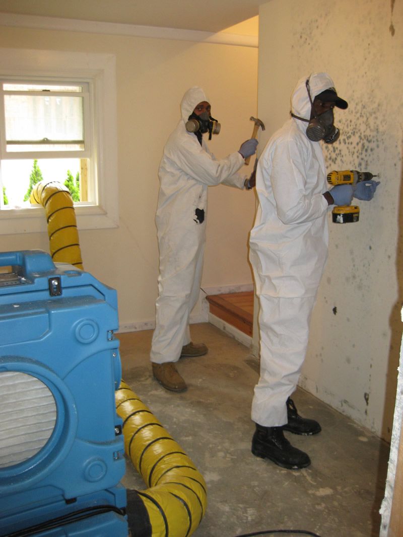 Residential Mold Remediation