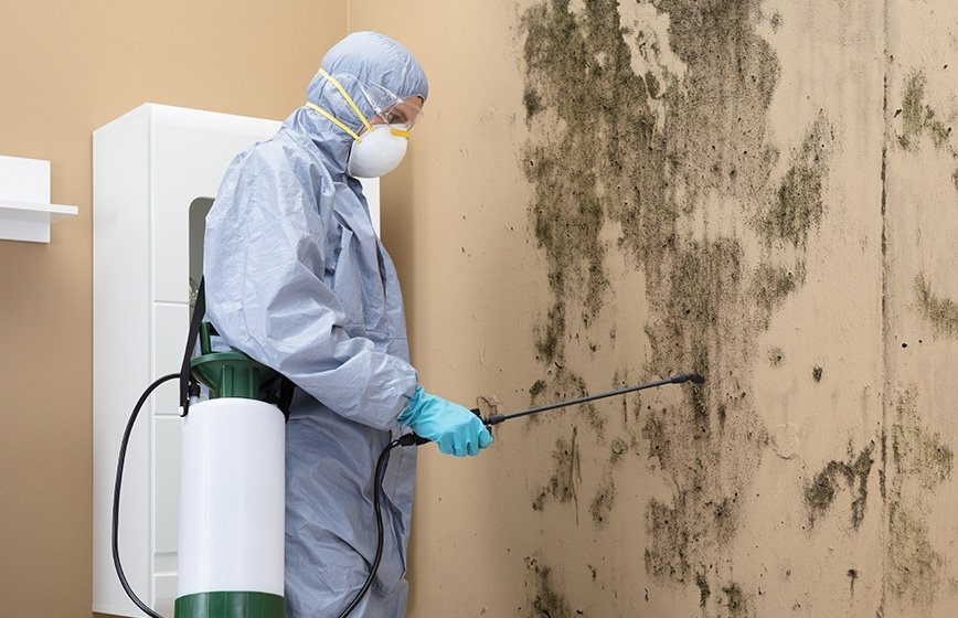 How Long Does Mold Remediation Take?
