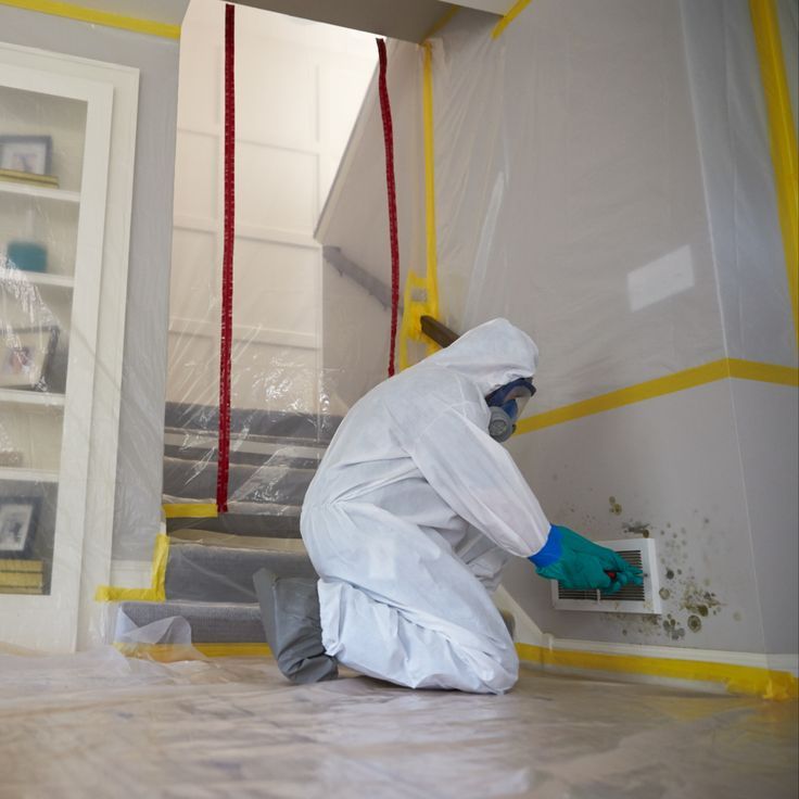 Commercial Mold remediation services in Abington, MA